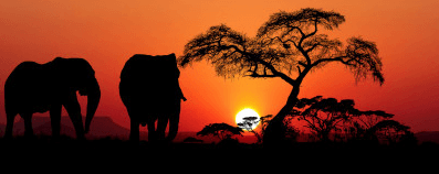 5120x1440p 329 africa backgrounds