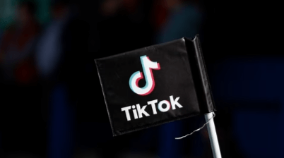 Tiktok Ireland August Q4sawerstechcrunch