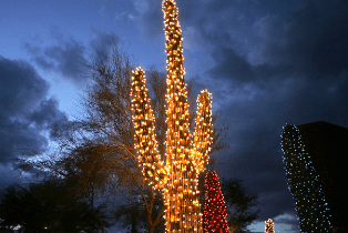 Stunning Holiday Light Installation in Chandler AZ and Surrounding Areas