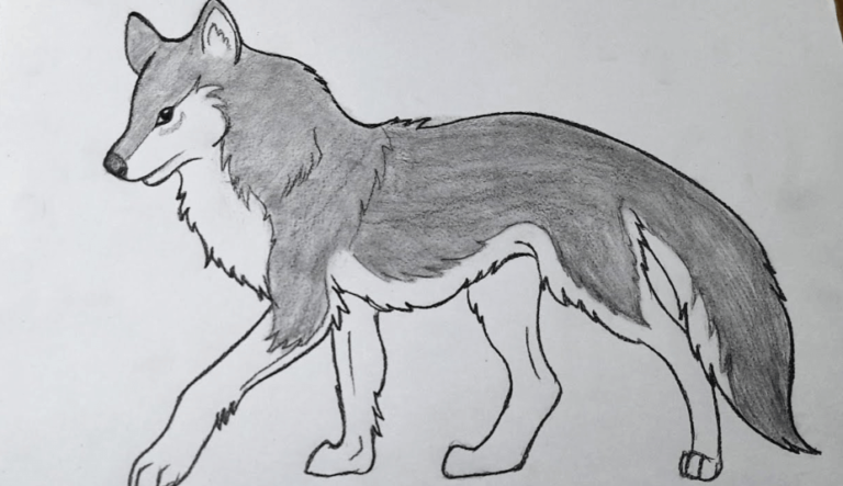 Cute:4jttmwppbxw= Easy Beginner Wolf Drawing