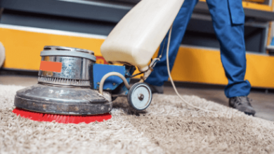 Carpet Cleaning Services