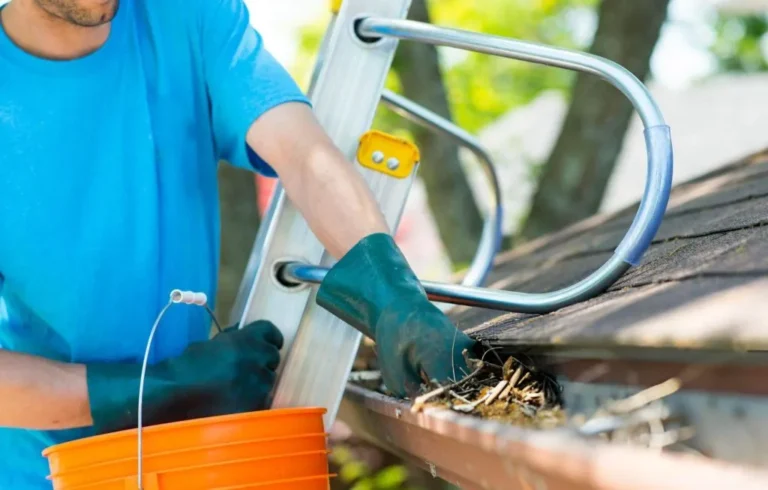 Gutter Cleaning Services to Maintain Proper Drainage and Prevent Damage