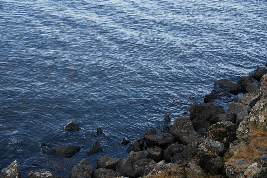 photoaconpan overview and guide