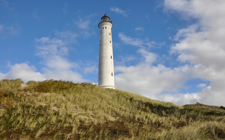 zealpozold usage and safety