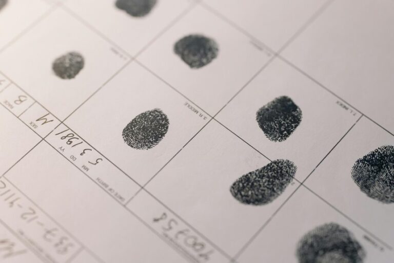 batch identifier and user handles integrity check case