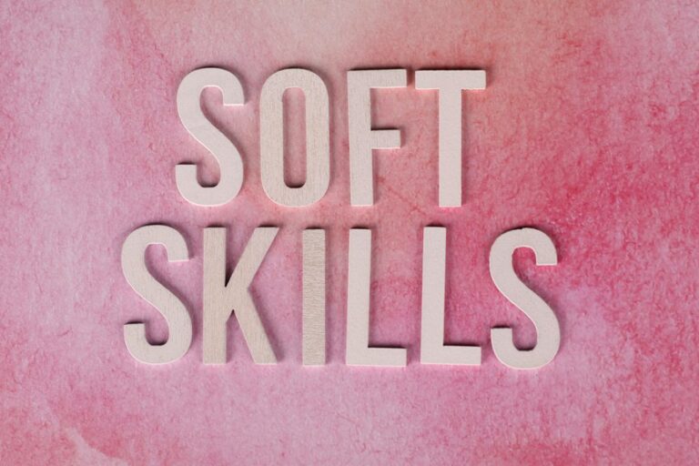 dimrekemesgen skills description