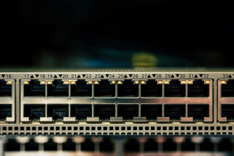 network and numeric record identifiers list