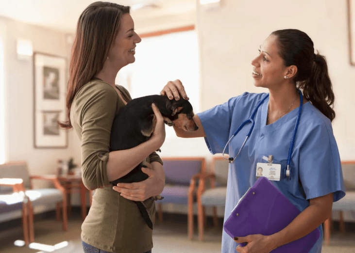 Pet Healthcare Trends Being Adopted by Petbook Veterinary Clinic